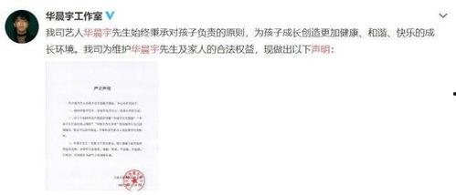 娱乐圈421吃瓜文献,揭秘明星背后的秘密与真相  第3张